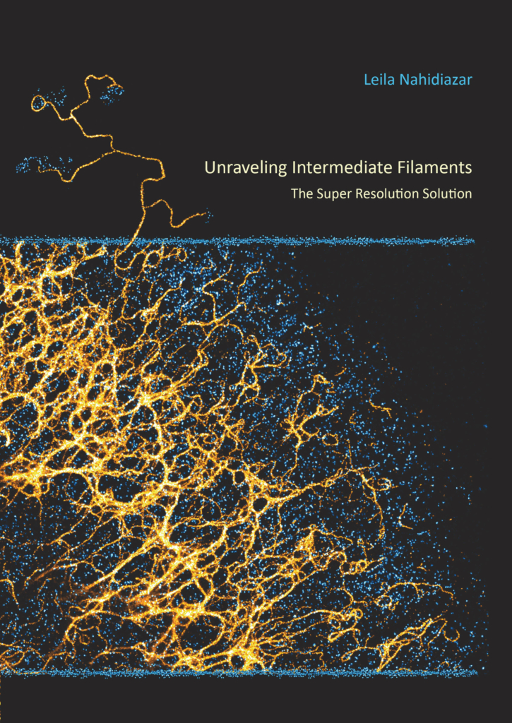 Unraveling Intermediate Filaments