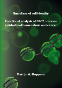 Guardians of cell identity