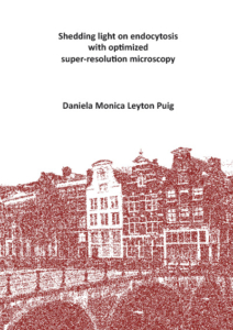 Shedding light on endocytosis with optimized super-resolution microscopy