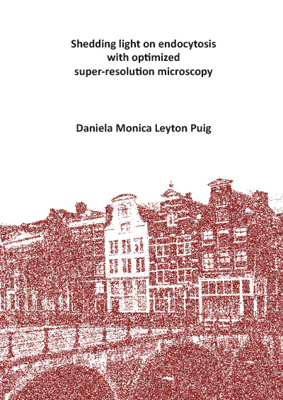 Shedding light on endocytosis with optimized super-resolution microscopy