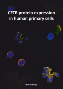 CFTR protein expression in human primary cells