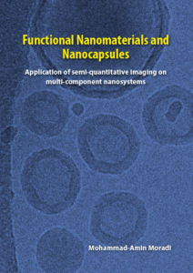 Functional nanomaterials and nanocapsules