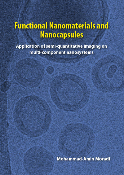 Functional nanomaterials and nanocapsules