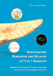 Investigating remission and relapse in type 1 diabetes