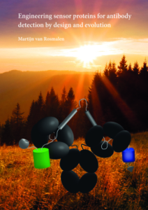 Engineering sensor proteins for antibody detection by design and evolution