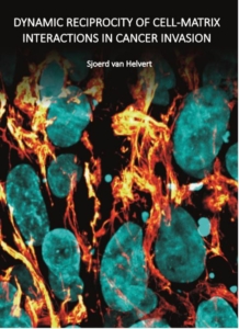 Dynamic Reciprocity of Cell-Matrix