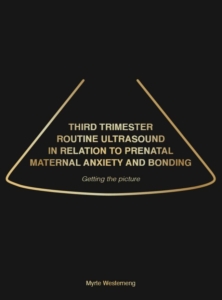Third trimester routine ultrasound in relation to prenatal
