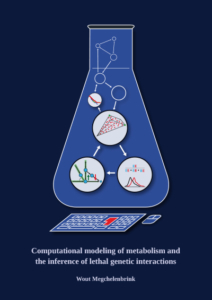 Computational modeling of metabolism and the inference of lethal genetic interactions