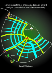 Novel regulators of endosome biology, MHCII antigen presentation and chemosensitivity